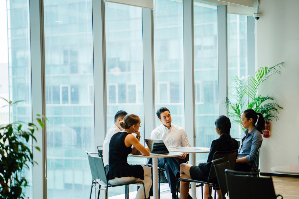Professionals in a meeting