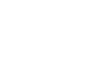 Cyberark Logo